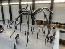 Tate Modern Museum